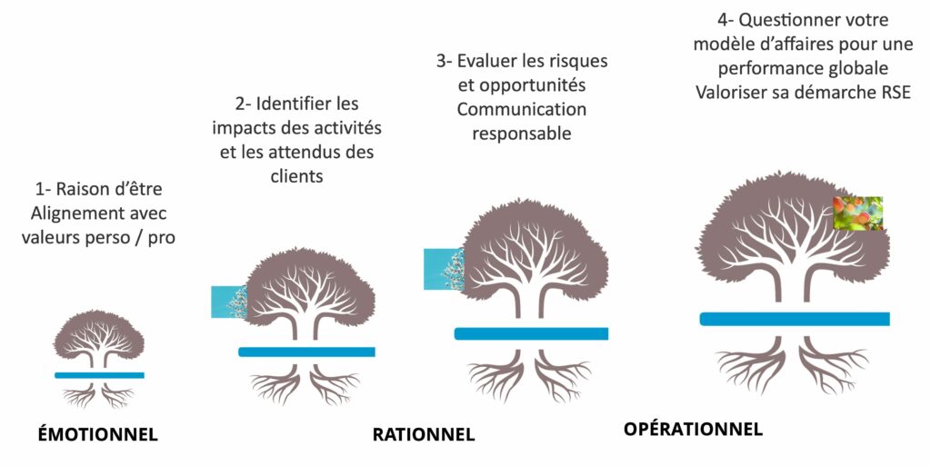 Approche RSE en 4 étapes: 1- Définir votre raison d’être, 2- Identifier les impacts de vos activités, 3- Evaluer vos risques et opportunités, 4- Questionner votre modèle d’affaires.